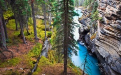 Athabasca1920x12008-1-2012 12_38_51 PM Bing Desktop